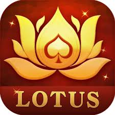 teen patti wala chart download